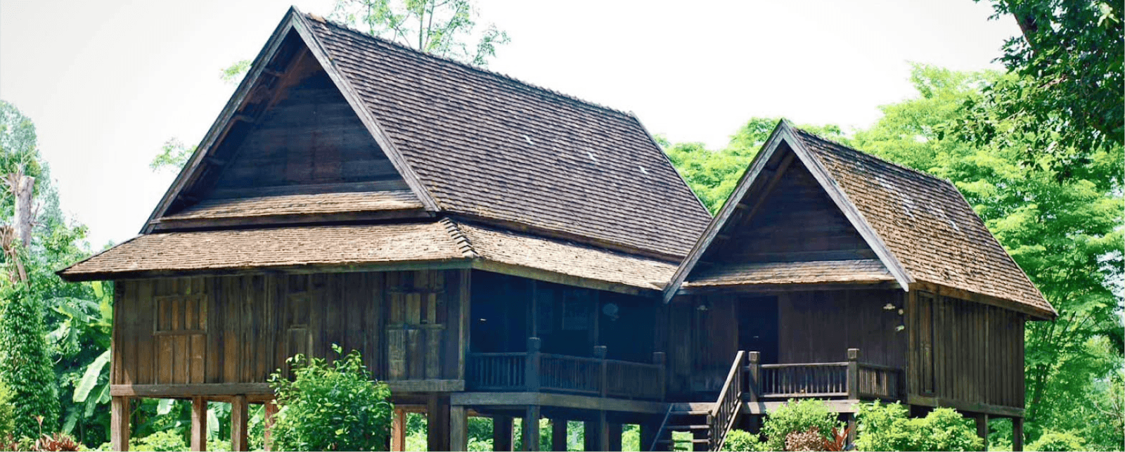 Легенда о живом материале